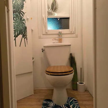 キャンプ場 Mobilhome Metanova